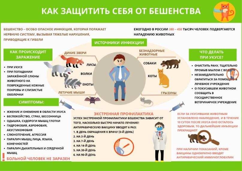 Памятка для населения по профилактике бешенства