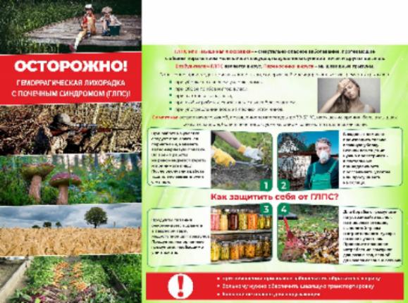 Внимание! Защитите себя от ГЛПС: простые правила безопасности в лесу и на даче! Внимание! Защитите себя от ГЛПС: простые правила безопасности в лесу и на даче!