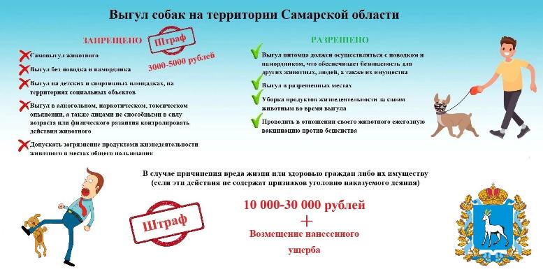 Администрация района информирует о порядке организации мероприятий по обращению с животными без владельцев Администрация района информирует о порядке организации мероприятий по обращению с животными без владельцев