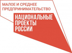 Мамы-предприниматели России получат поддержку в открытии собственного дела