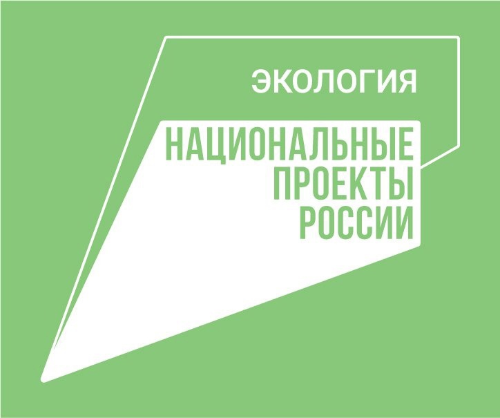 В Правительстве области подвели итоги реализации национального проекта «Экология» В Правительстве области подвели итоги реализации национального проекта «Экология»