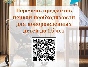 В Самарской области появился новый сервис для семей с детьми - пункты проката предметов первой необходимости для новорожденных детей в возрасте до 1,5 ле