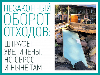 Незаконный оборот отходов: штрафы увеличены, но сброс и ныне там