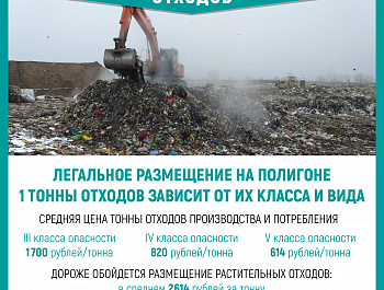 Незаконный оборот отходов: штрафы увеличены, но сброс и ныне там